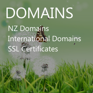 Domains